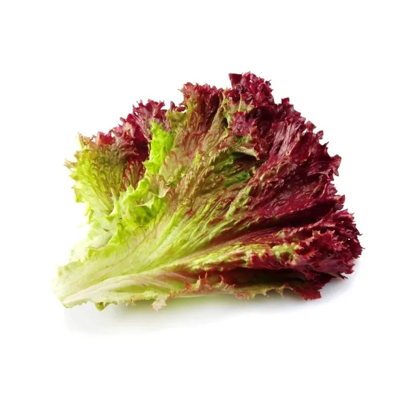 Selada Red Romaine 250gr